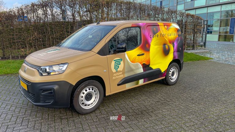Fiat E Doblo 3M Full colour print