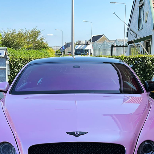Chameleon tintfolie roze