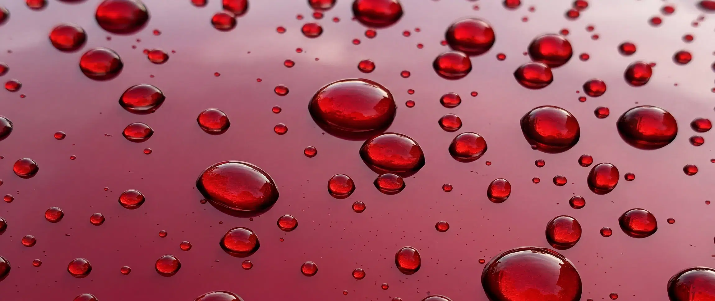 hydrophobe druppels